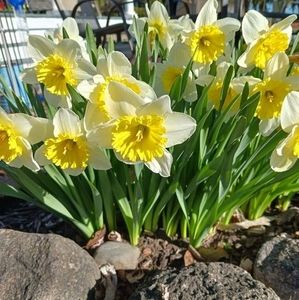 Meet your Posher, Doreen